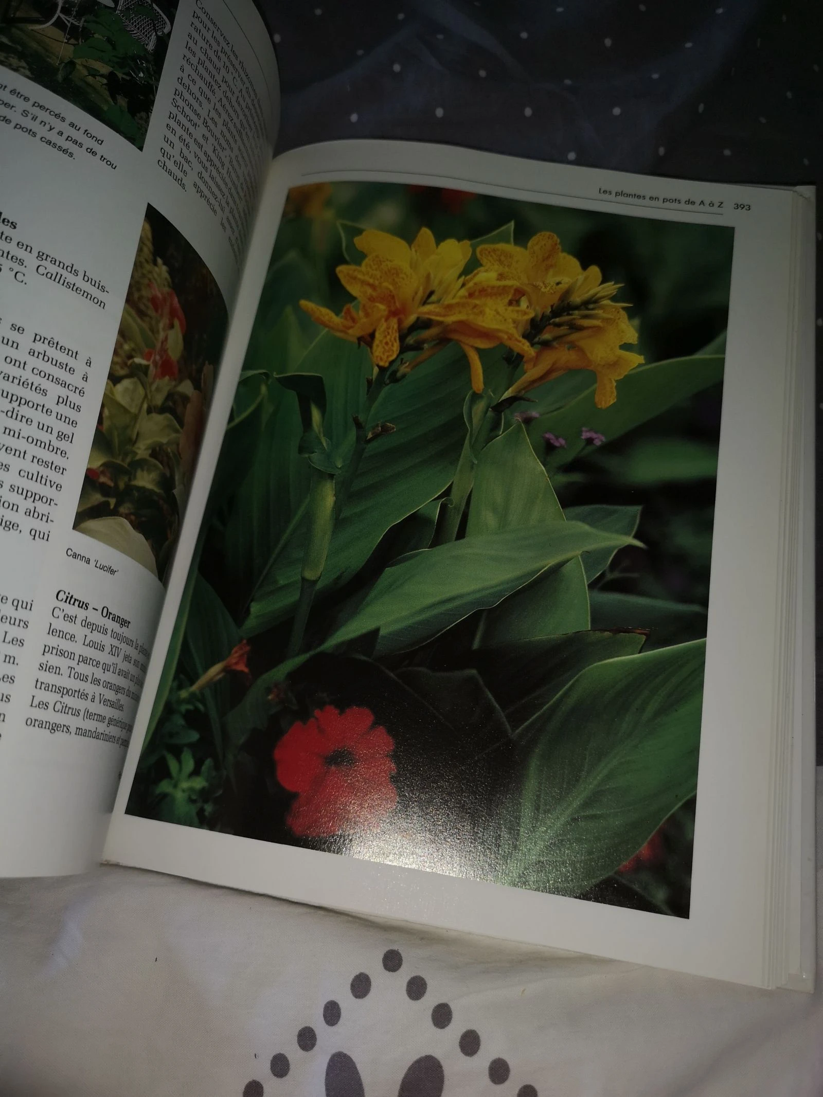 Tuinieren gids – photo 15